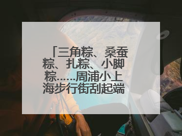 三角粽、桑蚕粽、扎粽、小脚粽……周浦小上海步行街刮起端午浓浓民俗风