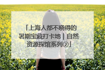 上海人都不晓得的 暑期宝藏打卡地｜自然资源探馆系列②