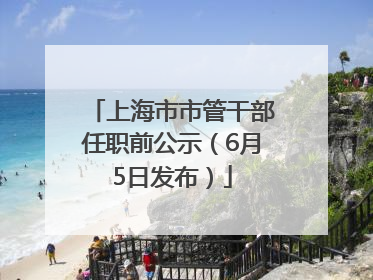 上海市市管干部任职前公示（6月5日发布）