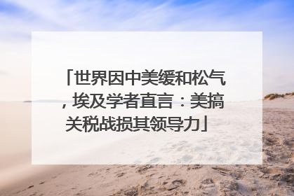 世界因中美缓和松气，埃及学者直言：美搞关税战损其领导力