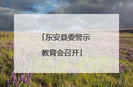 东安县委警示教育会召开