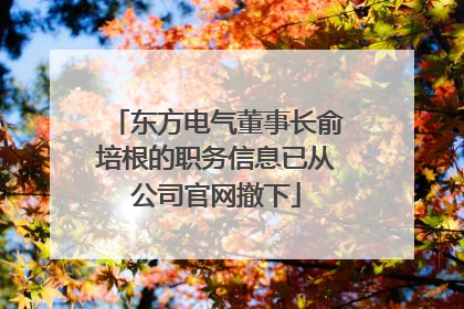 东方电气董事长俞培根的职务信息已从公司官网撤下
