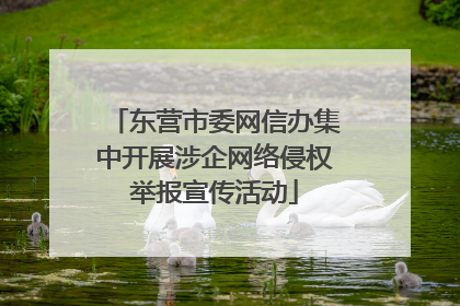 东营市委网信办集中开展涉企网络侵权举报宣传活动