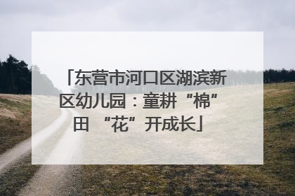 东营市河口区湖滨新区幼儿园：童耕“棉”田 “花”开成长