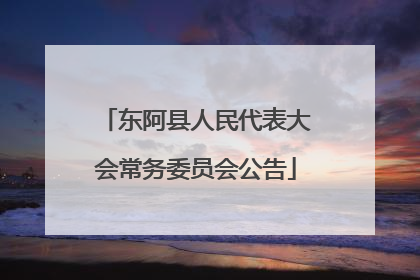 东阿县人民代表大会常务委员会公告
