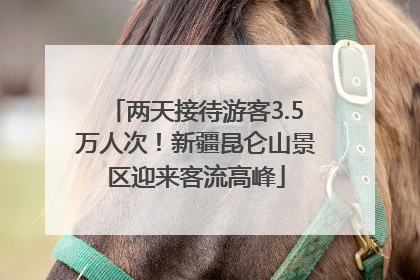 两天接待游客3.5万人次！新疆昆仑山景区迎来客流高峰