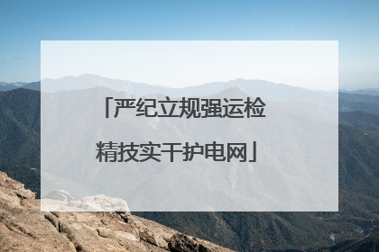 严纪立规强运检 精技实干护电网