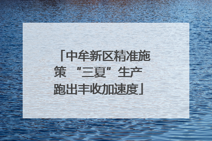 中牟新区精准施策 “三夏”生产跑出丰收加速度
