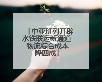 中亚班列开辟水铁联运新通道 物流综合成本降四成