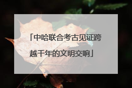 中哈联合考古见证跨越千年的文明交响