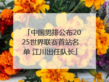 中国男排公布2025世界联赛首站名单 江川出任队长
