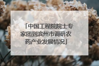 中国工程院院士专家团到滨州市调研农药产业发展情况
