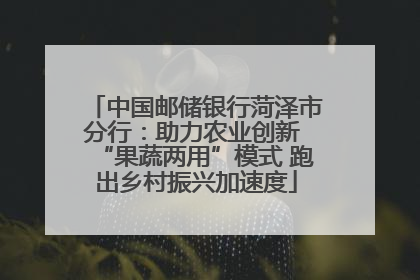 中国邮储银行菏泽市分行：助力农业创新 “果蔬两用”模式 跑出乡村振兴加速度