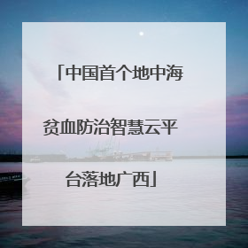 中国首个地中海贫血防治智慧云平台落地广西