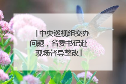 中央巡视组交办问题，省委书记赴现场督导整改