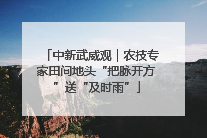 中新武威观｜农技专家田间地头“把脉开方”送“及时雨”