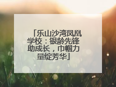乐山沙湾凤凰学校：银龄先锋助成长，巾帼力量绽芳华