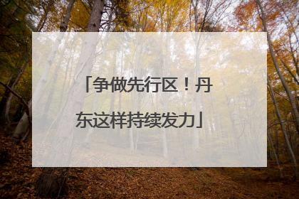 争做先行区！丹东这样持续发力