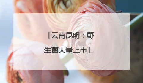 云南昆明：野生菌大量上市