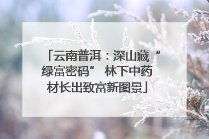 云南普洱：深山藏“绿富密码” 林下中药材长出致富新图景