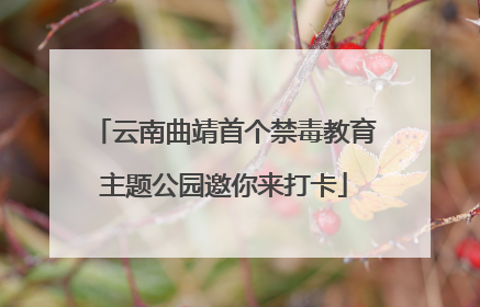 云南曲靖首个禁毒教育主题公园邀你来打卡