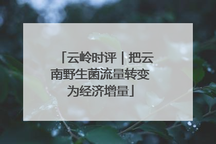 云岭时评｜把云南野生菌流量转变为经济增量