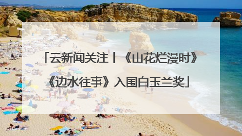 云新闻关注丨《山花烂漫时》《边水往事》入围白玉兰奖