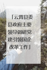 云霄县委县政府主要领导调研党建引领国企改革工作