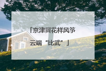京津冀花样风筝云端“比武”