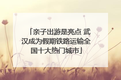 亲子出游是亮点 武汉成为假期铁路运输全国十大热门城市