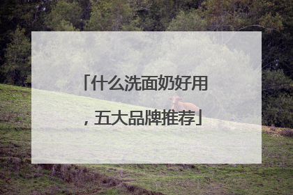 什么洗面奶好用，五大品牌推荐