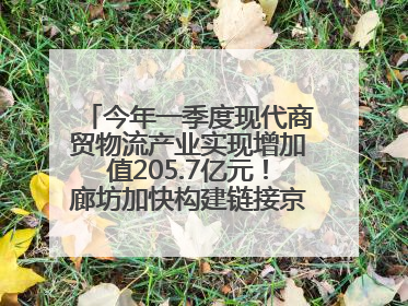 今年一季度现代商贸物流产业实现增加值205.7亿元！廊坊加快构建链接京津冀面向全世界的物流通道