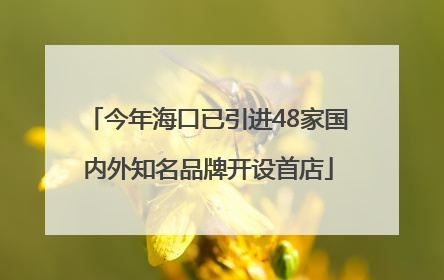 今年海口已引进48家国内外知名品牌开设首店