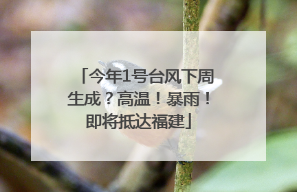 今年1号台风下周生成？高温！暴雨！即将抵达福建