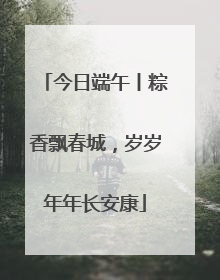 今日端午丨粽香飘春城，岁岁年年长安康