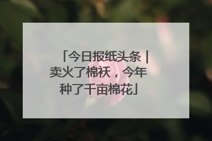 今日报纸头条｜卖火了棉袄，今年种了千亩棉花