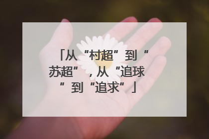 从“村超”到“苏超”，从“追球”到“追求”