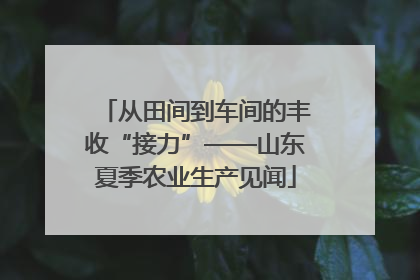 从田间到车间的丰收“接力”——山东夏季农业生产见闻