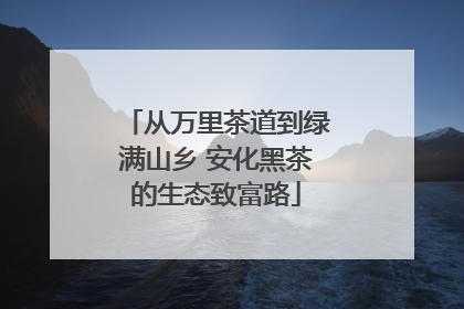 从万里茶道到绿满山乡 安化黑茶的生态致富路