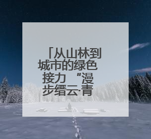 从山林到城市的绿色接力 “漫步缙云·青山驿站”探索生态文明新实践