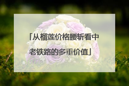 从榴莲价格腰斩看中老铁路的多重价值