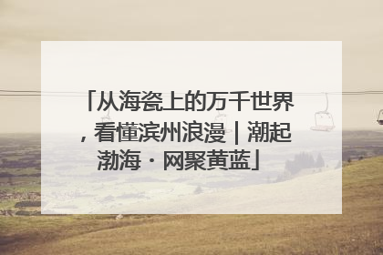 从海瓷上的万千世界，看懂滨州浪漫｜潮起渤海・网聚黄蓝