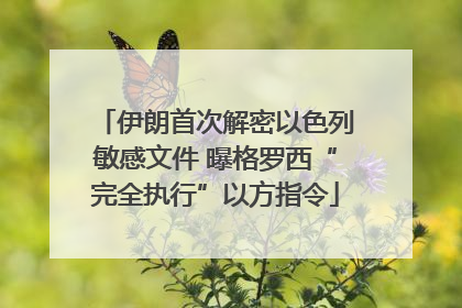 伊朗首次解密以色列敏感文件 曝格罗西“完全执行”以方指令