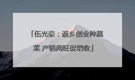伍光豪：返乡创业种蔬菜 产销两旺促增收