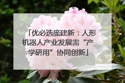 优必选庞建新：人形机器人产业发展需“产学研用”协同创新