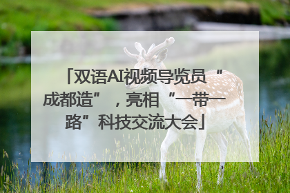 双语AI视频导览员“成都造”，亮相“一带一路”科技交流大会
