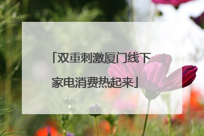 双重刺激厦门线下家电消费热起来