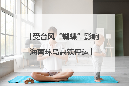 受台风“蝴蝶”影响 海南环岛高铁停运
