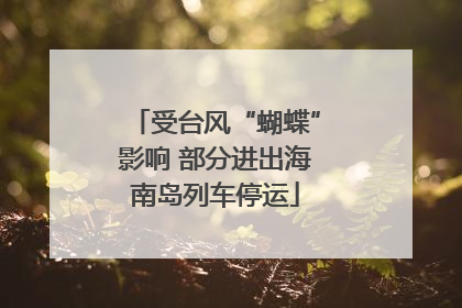 受台风“蝴蝶”影响 部分进出海南岛列车停运