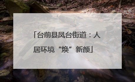 台前县凤台街道：人居环境“焕”新颜